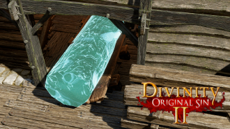 Divinity Original Sin 2