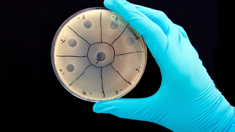Учёные создают вирус для уничтожения бактерий