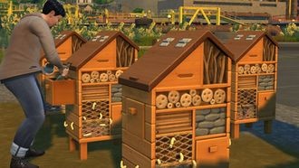 The Sims 4: Гайд по фермам насекомых