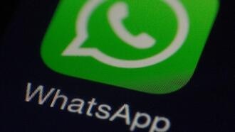 Уязвимость WhatsApp позволяет заблокировать любую учетную запись
