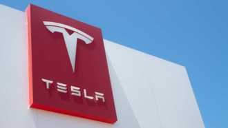 Tesla перестает принимать платежи в биткойнах, ссылаясь на экологические проблемы