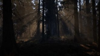 Впечатляющая демонстрация леса на движке Unreal Engine 5 доступна для скачивания